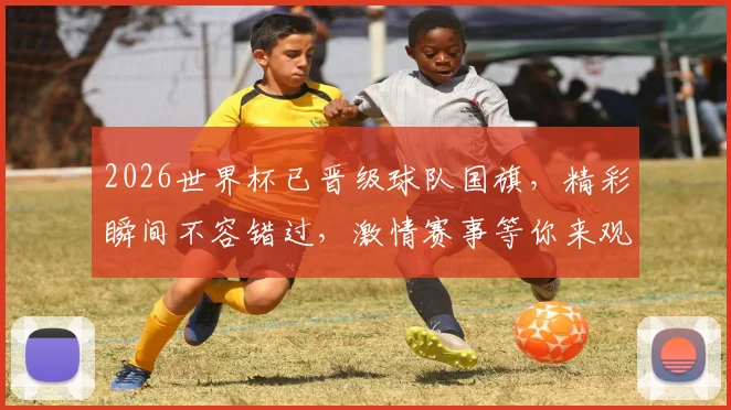 2026世界杯已晋级球队国旗，精彩瞬间不容错过，激情赛事等你来观